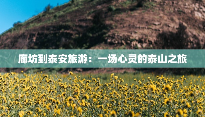 廊坊到泰安旅游：一场心灵的泰山之旅