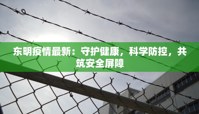 东明疫情最新：守护健康，科学防控，共筑安全屏障