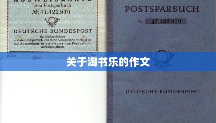 关于淘书乐的作文