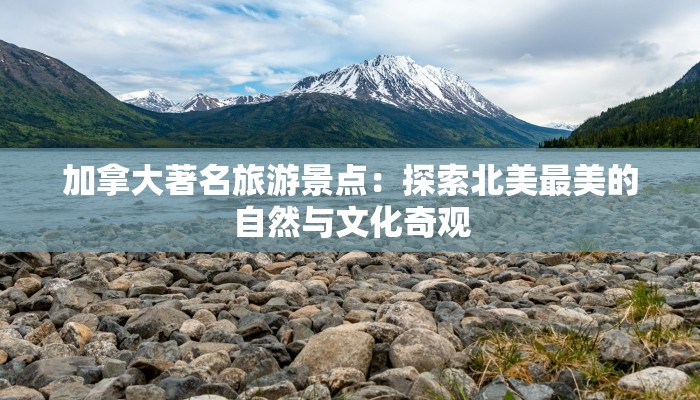 济源物流投诉快递：化解难题，畅享便捷